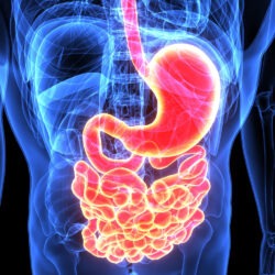 Gastrointestinal Surgery